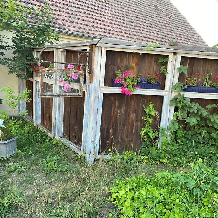 Ostsee Radlerpension Peitz 외부 사진